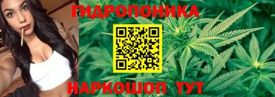 тгк Севастополь